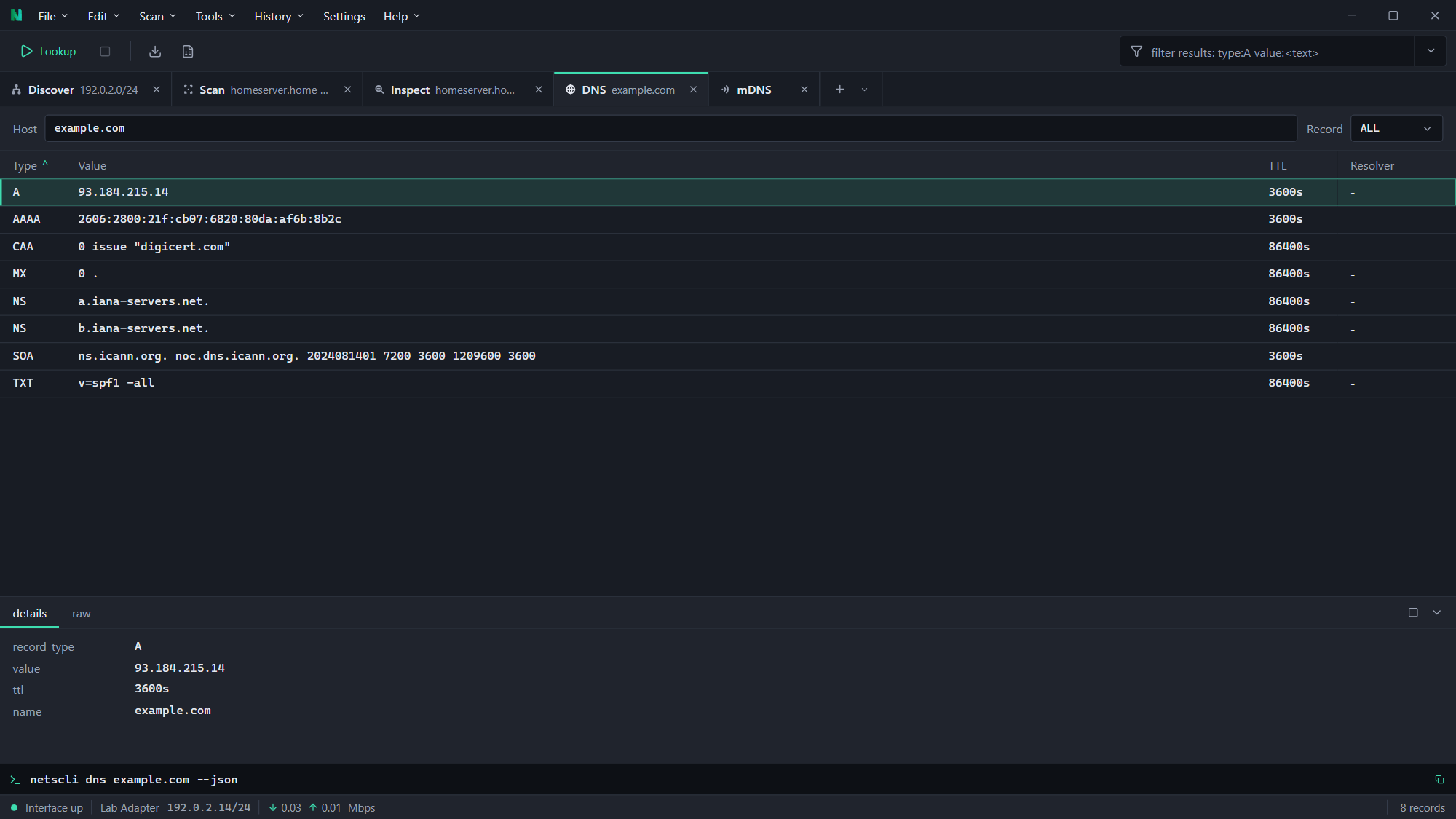 A DNS lookup in NetsCLI Desktop, one row per record with type and value columns